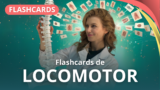 FLASHCARD DEL APARATO LOCOMOTOR