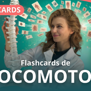 FLASHCARD DEL APARATO LOCOMOTOR