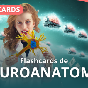 FLASHCARDS DE NEUROANATOMÍA