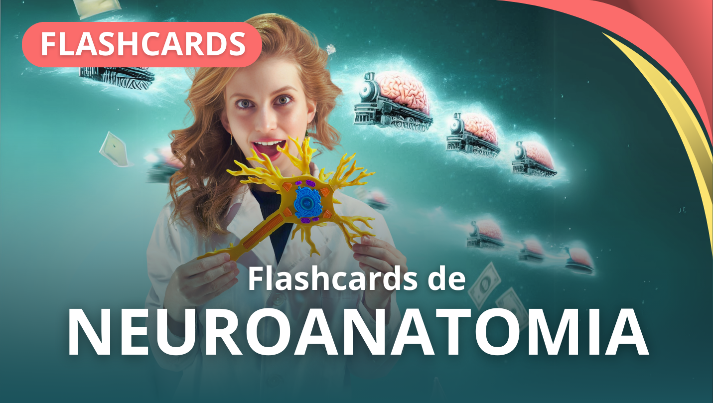 FLASHCARDS DE NEUROANATOMÍA